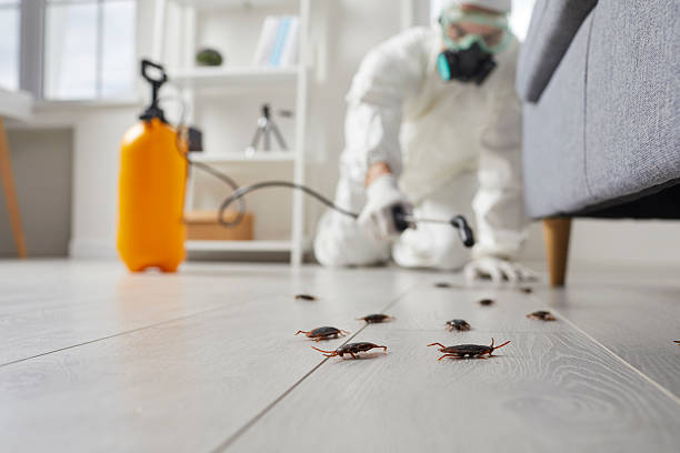 Commercial Kitchen Cockroach Control in Paris
